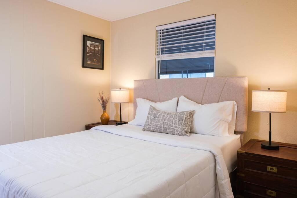 Вилла House Near Tampa Zoo And Busch Gardens, Free High Speed Wifi Экстерьер фото