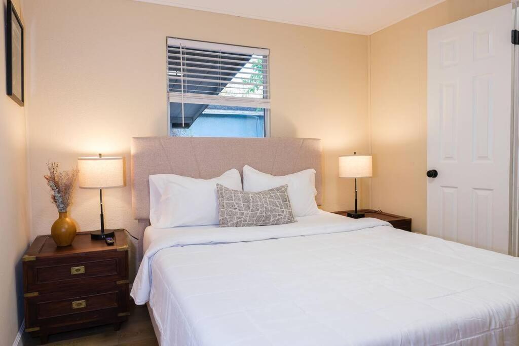 Вилла House Near Tampa Zoo And Busch Gardens, Free High Speed Wifi Экстерьер фото